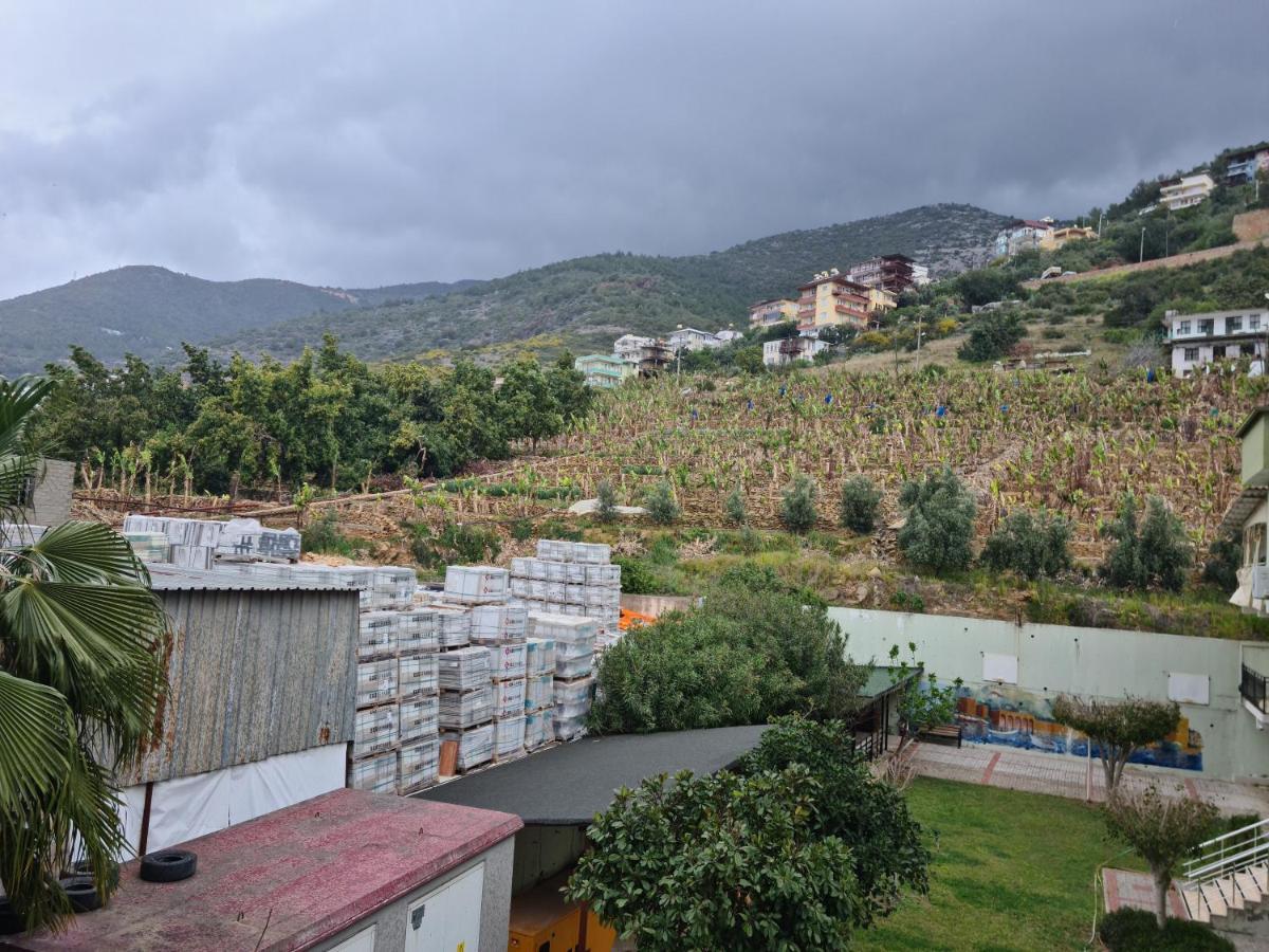 Appartement Kleopatra Sultan Rezidans à Alanya Extérieur photo